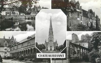 CPSM FRANCE 44 "Châteaubriant, étang de la Torche, le château"