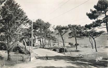 CPSM FRANCE 44 "Sainte Marguerite, sous bois vers la plage"