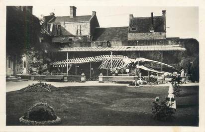 CPSM FRANCE 14 "Luc sur Mer, la baleine dans le jardin public"