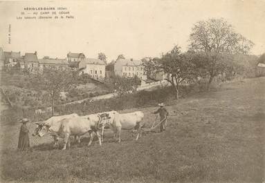 CPA PANORAMIQUE FRANCE 03 "Neris Les Bains, Au camp de César" / VACHE