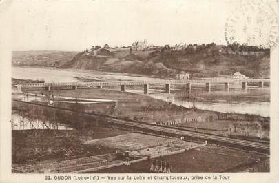 CPA FRANCE 44 "Oudon, vue sur la Loire et Champtoceaux"