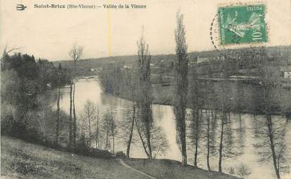 CPA FRANCE 87 "Saint Brice, vallée de la Vienne"