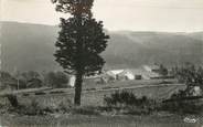 43 Haute Loire / CPSM FRANCE 43 "Champagnac le Vieux, un joli coin des environs"