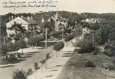 CPSM FRANCE 44 "La Baule Les Pins, avenue des Tilleuls"