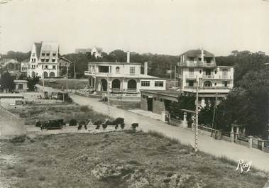 CPSM FRANCE 44 "La Baule Les Pins, vue sur les hôtels prise du Hall d'information"