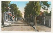 14 Calvado CPSM FRANCE 14 "Ouistreham Riva Bella, avenue de la mer"