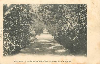 CPA CONGO BELGE "Banana, allée des Palétuviers"