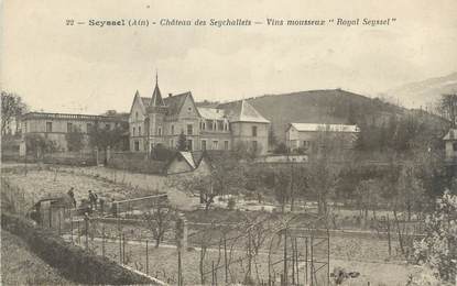 CPA FRANCE 01 "Seyssel, château des Seychallets"