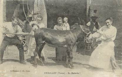 / CPA FRANCE 89 "Chailley, en batterie" / ÂNE