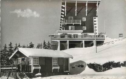 CPSM FRANCE 38 "Chamrousse, hôtel de l'Ourson"