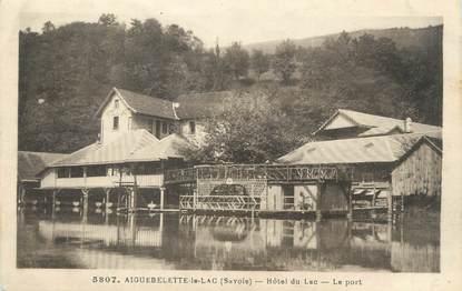 CPA FRANCE 73 "Aiguebelette Le Lac, hôtel du Lac, le port"