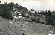 73 Savoie CPSM FRANCE 73 "Dullin par Lépin Le Lac d'Aiguebelette"