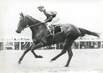 PHOTO ORIGINALE / PHOTO DE PRESSE / SPORT "Hippisme, le prix de Diane"