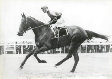 PHOTO ORIGINALE / PHOTO DE PRESSE / SPORT "Hippisme, le prix de Diane"