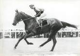 Theme PHOTO ORIGINALE / PHOTO DE PRESSE / SPORT "Hippisme, le prix de Diane"