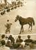 PHOTO ORIGINALE / PHOTO DE PRESSE / SPORT "Hippisme, Vente de Yearlings trotteurs à Vincennes, 1963"