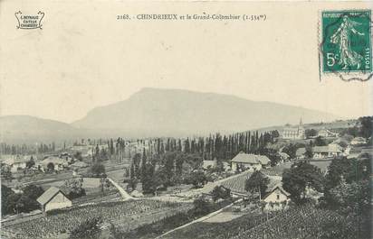 CPA FRANCE 73 "Chindrieux et le grand Colombier"
