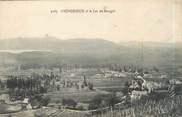 73 Savoie CPA FRANCE 73 "Chindrieux, et le lac du Bourget"