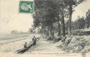 33 Gironde CPA FRANCE 33 "Taussat les Bains, pins déraciné par le Raz de Marée"