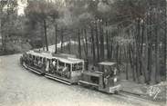 33 Gironde CPSM FRANCE 33 "Cap Ferret, le petit train forestier"