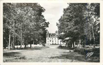 CPSM FRANCE 56 "La Chapelle, un coin de l'avenue et le château"