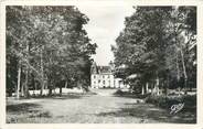 56 Morbihan CPSM FRANCE 56 "La Chapelle, un coin de l'avenue et le château"