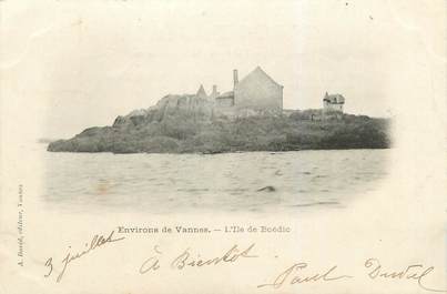 CPA FRANCE 56 "Environs de Vannes, l'Ile de Boëdic"