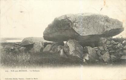 CPA FRANCE 56 "Ile aux Moines, le dolmen"