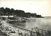 56 Morbihan CPSM FRANCE 56 "Ile aux Moines, la plage "