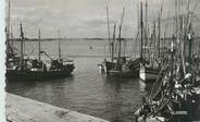 56 Morbihan CPSM FRANCE 56 "Port Louis, le port de pêche "