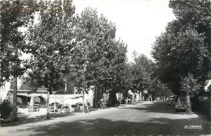 CPSM FRANCE 56 "Carnac plage, avenue des Druides"