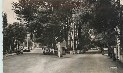 CPSM FRANCE 56 "Carnac, les deux avenues"