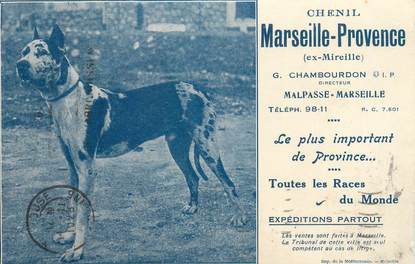 CPA FRANCE 13 "Chenil Marseille Provence" / CHIEN