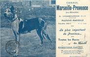 13 Bouch Du Rhone CPA FRANCE 13 "Chenil Marseille Provence" / CHIEN