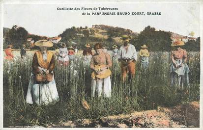 CPA FRANCE 06 "Grasse, cueillette des Fleurs de Tubéreuses"