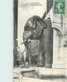 73 Savoie CPA FRANCE 73 "Chambery, fontaine des éléphants"