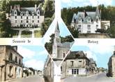 37 Indre Et Loire CPSM FRANCE 37 "Noizay "