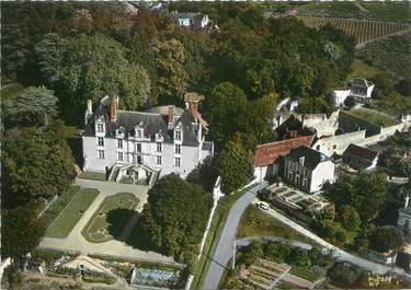 CPSM FRANCE 37 "Noizay, vue aérienne, le château"