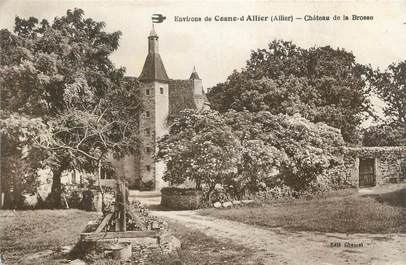 CPA FRANCE 03 "Environs de Cosne d'Allier, château de la Brosse"