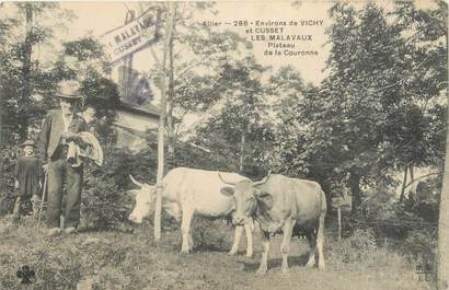 CPA FRANCE 03 "Les Malavaux, plateau de la Couronne" / VACHE