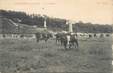 CPA FRANCE 77 "Carrières sous Bois, la prairie"