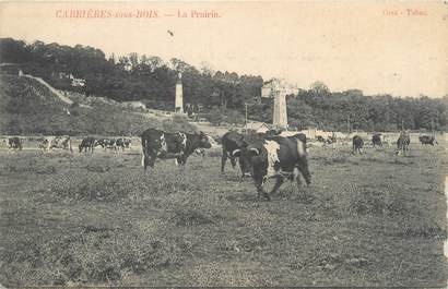 CPA FRANCE 77 "Carrières sous Bois, la prairie"