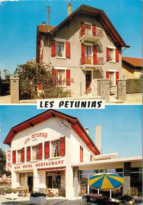 / CPSM FRANCE 74 "Annecy, hôtel restaurant Les pétunias"