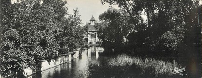 CPSM PANORAMIQUE FRANCE 89 "Dannemoine, les bords de l'Armançon"