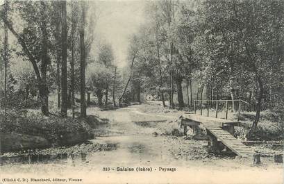 CPA FRANCE 38 "Salaise, paysage"