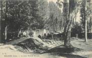 38 Isere CPA FRANCE 38 "Salaise, le vieux pont du moulin"