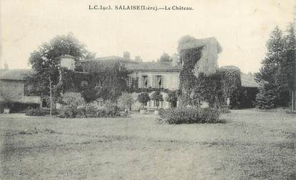 CPA FRANCE 38 "Salaise, le château"