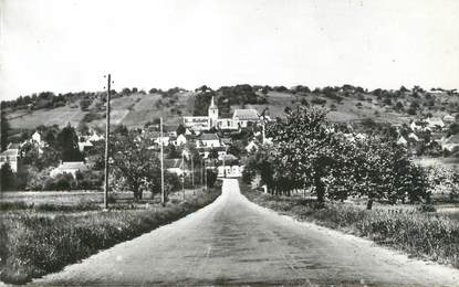 CPSM FRANCE 89 "Bellechaume, entrée du village"