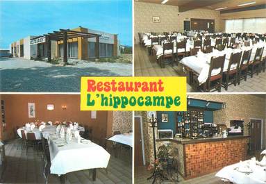 CPSM FRANCE 66 "Pezzila La Rivière, restaurant l'hippocampe"