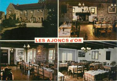 CPSM FRANCE 56 "Plouharnel, hôtel restaurant les Ajoncs d'Or"